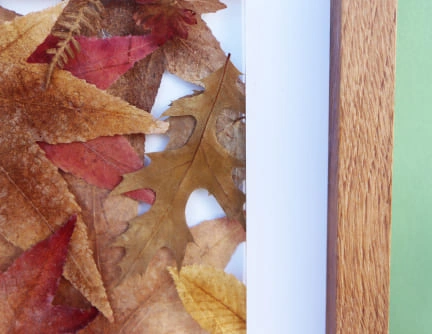 Tableau 25cm résine epoxy inclusion feuilles d'arbre naturelles cadre en chêne